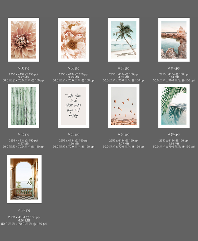 现代简约北欧现代粉色植物花卉线条人物组合客厅装饰画芯素材
