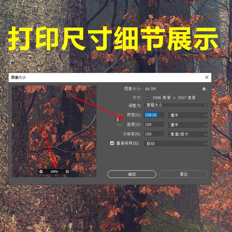 现代简约绿色森林树木风景摄影图客厅餐厅装饰画图片高清素材图库