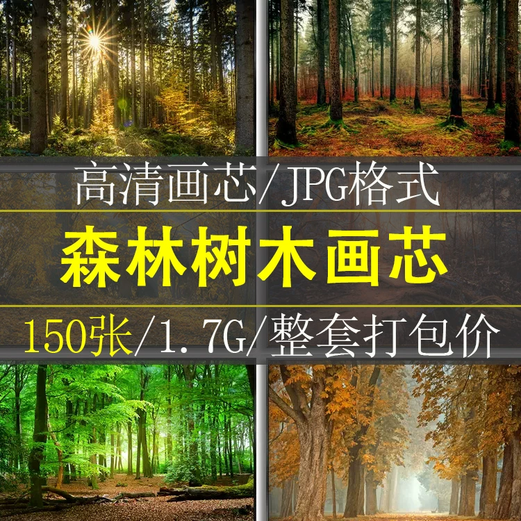 现代简约风景阳光森林树木客厅装饰画摄影画高清画芯素材图片库