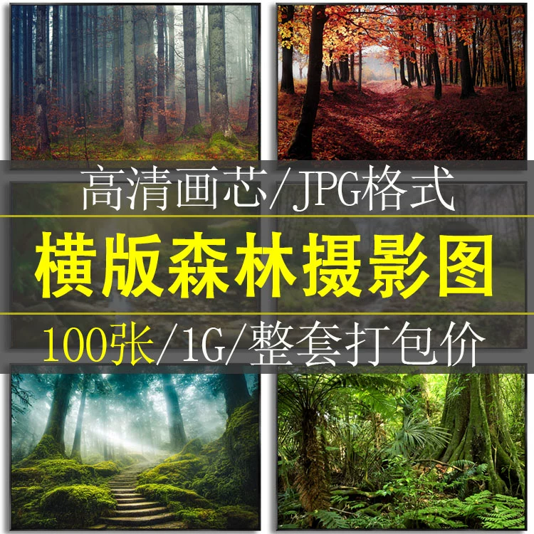现代简约绿色森林树木风景摄影图客厅餐厅装饰画图片高清素材图库