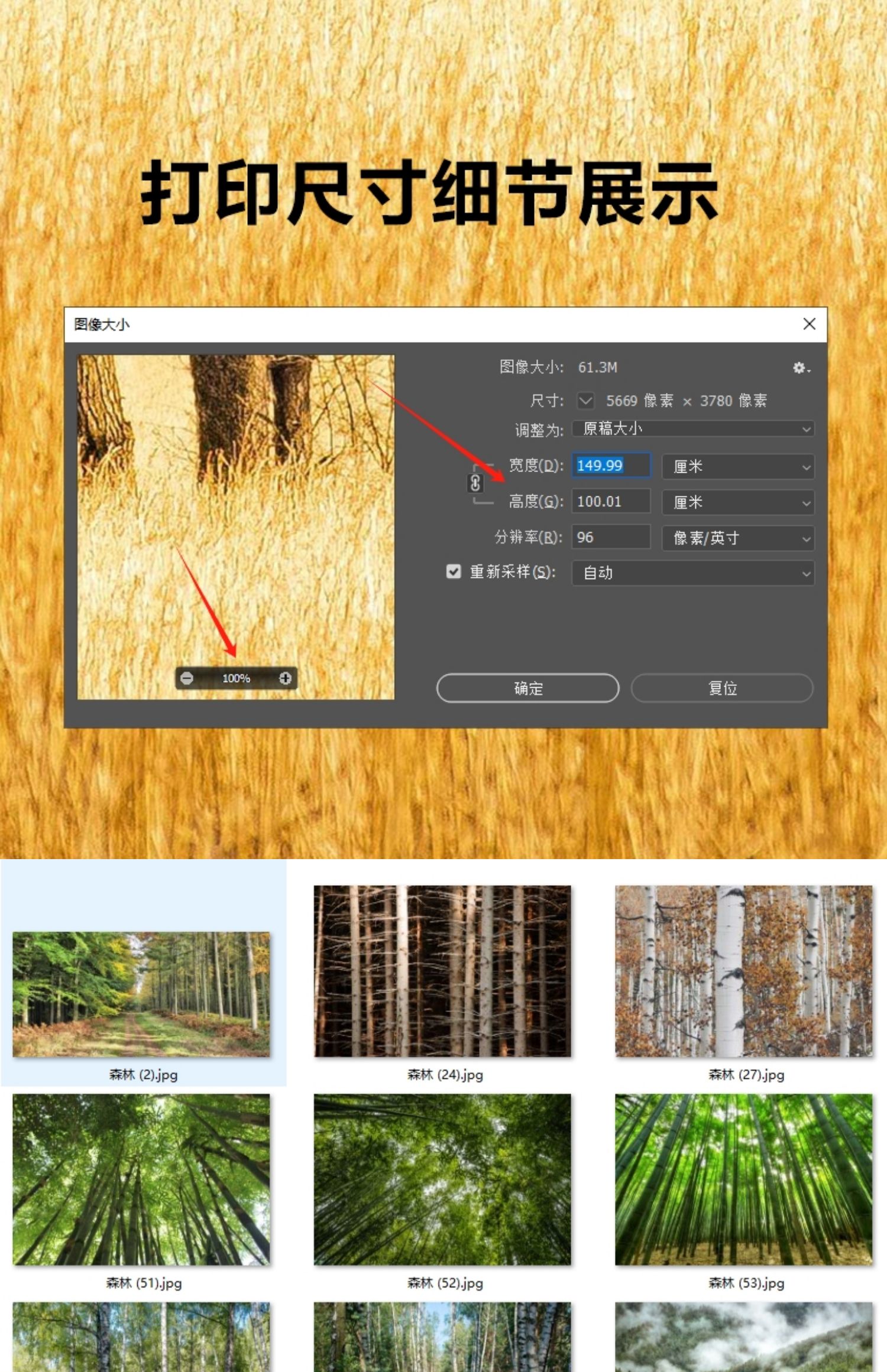 现代简约风景阳光森林树木客厅装饰画摄影画高清画芯素材图片库